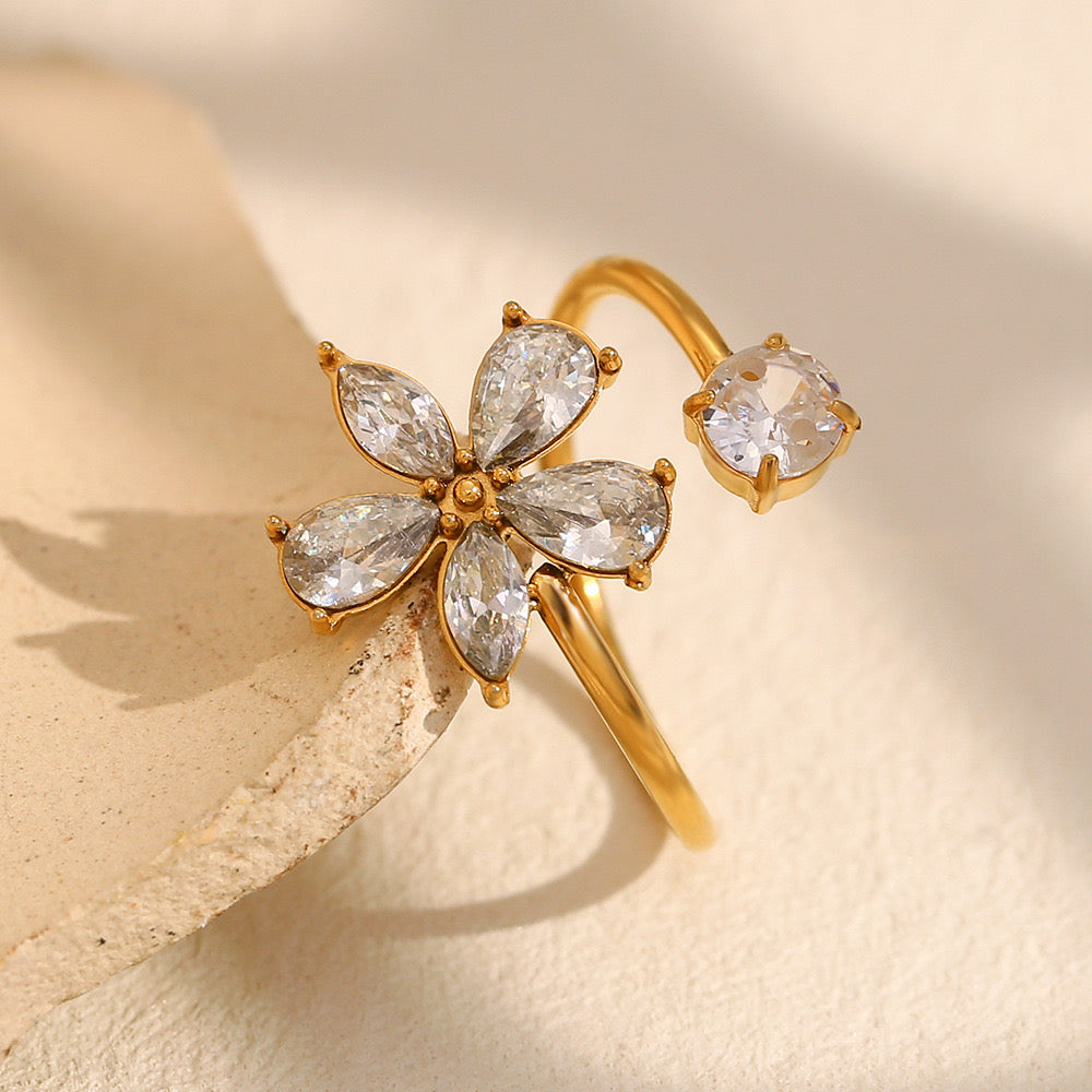 Pureza Ring