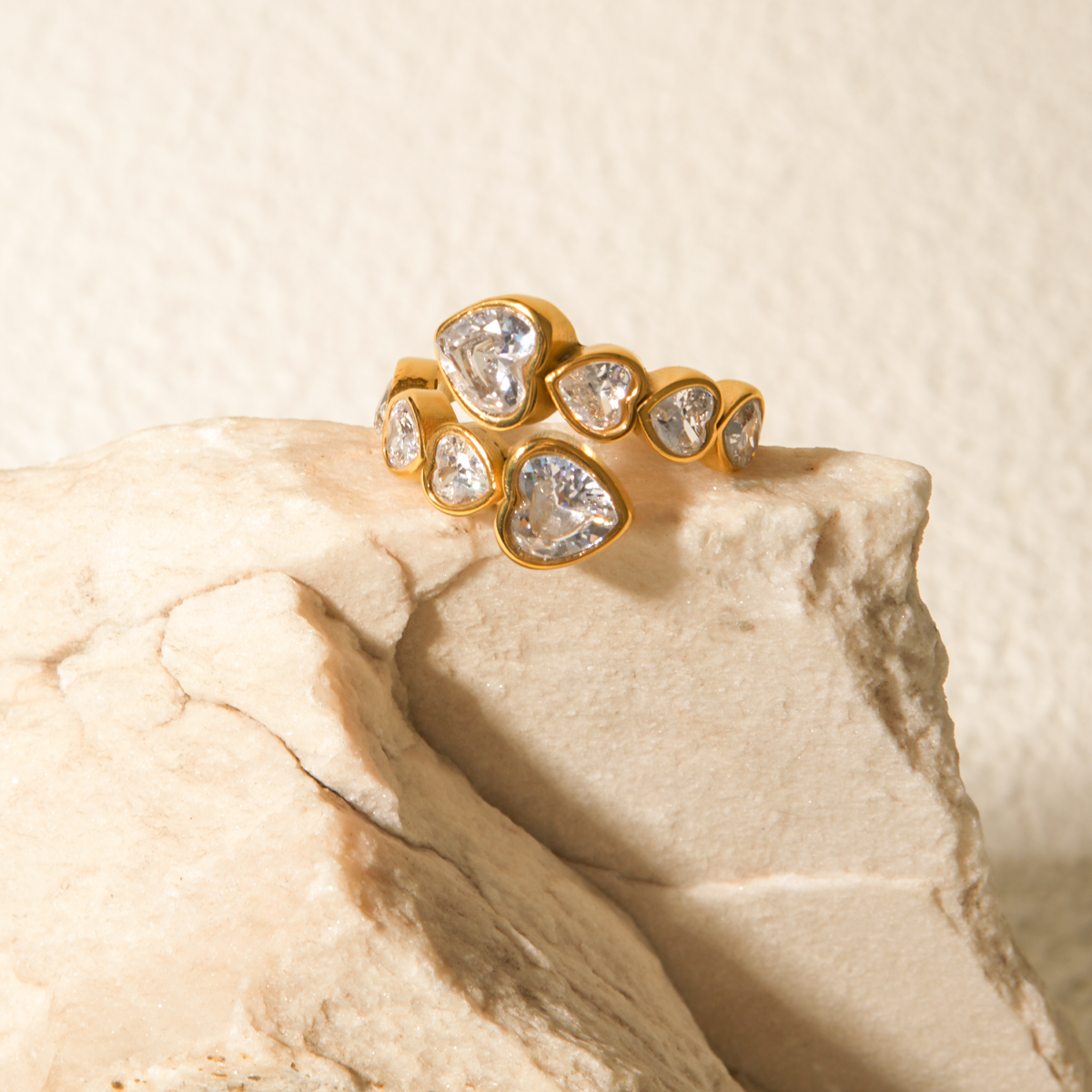 Dani Ring