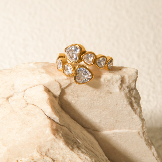 Dani Ring